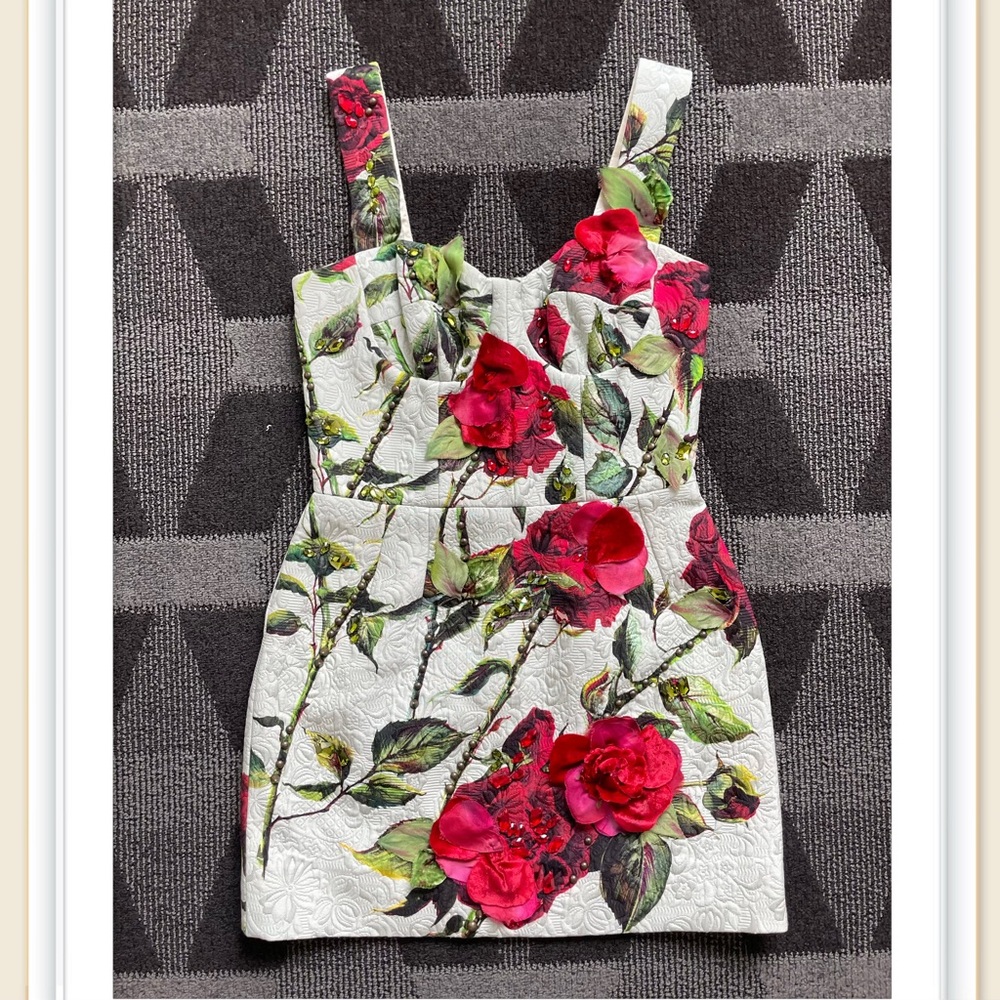 Dolce & Gabbana 3D Decorated Dress